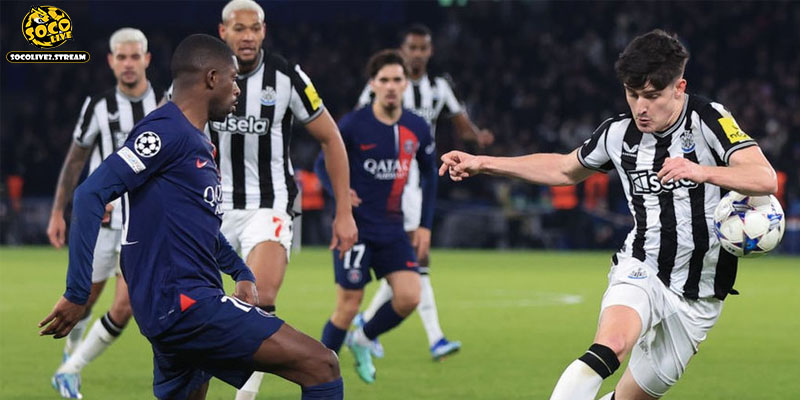 Kết quả đối đầu trong quá khứ đang tạm nghiêng về phía Newcastle